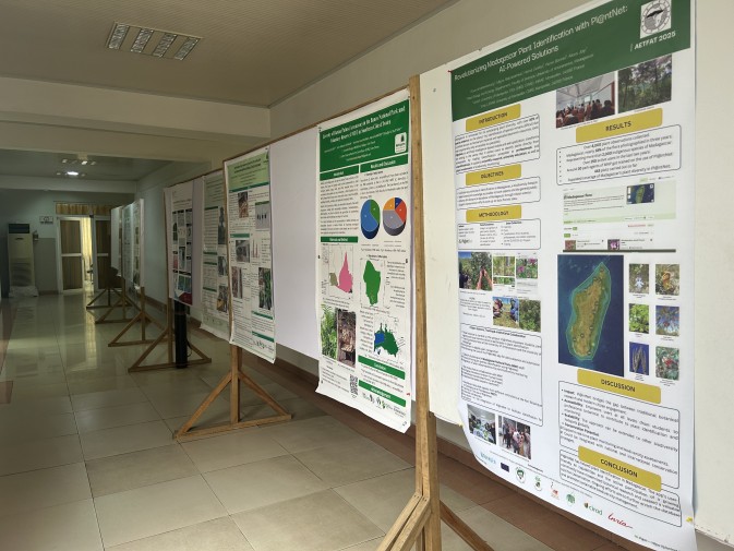 MAMBO showcases advances in plant community analysis at AETFAT 2025