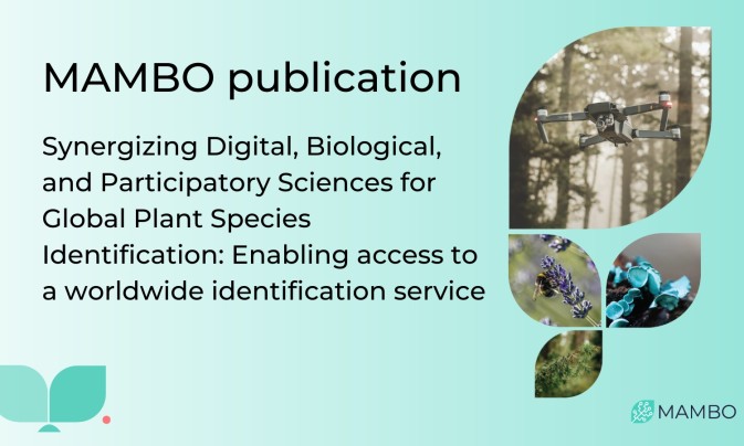 MAMBO partners co-author a study on citizen science in global plant species identification