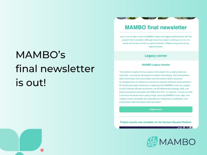 MAMBO's final newsletter is out