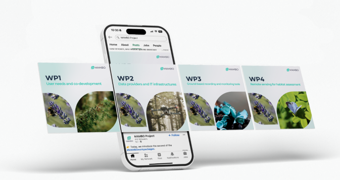 Recent social media campaign highlights MAMBO's work packages