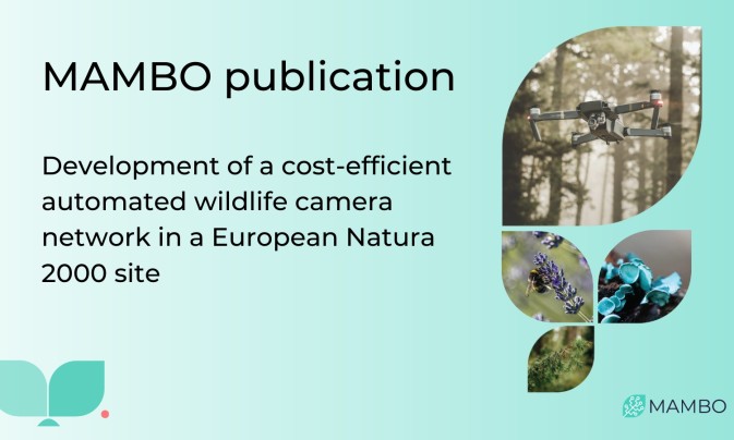 MAMBO partner contributes to a field study in a Dutch European Natura 2000 site