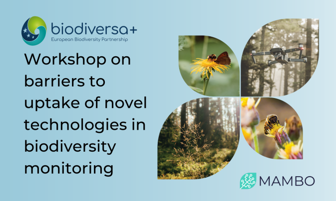 MAMBO's project coordinator takes part in a Biodiversa+ workshop on discussing key issues in biodiversity monitoring