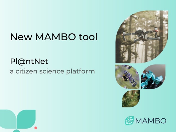 MAMBO's work on plant community analysis used to deploy a new web tool
