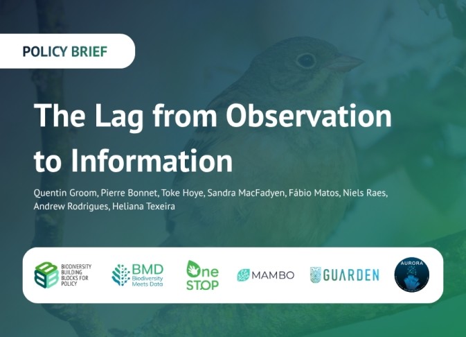 Six research projects work together to reduce the lag between biodiversity data and action
