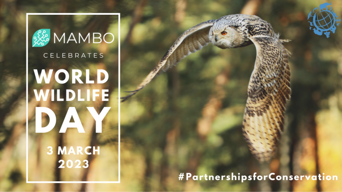 MAMBO celebrates World Wildlife Day!