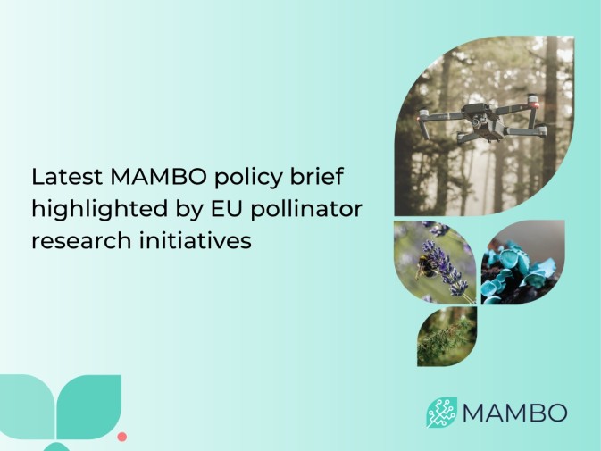 MAMBO featured across EU pollinator project newsletters