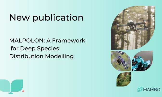 MAMBO contributes to a new deep learning tool for species distribution modelling