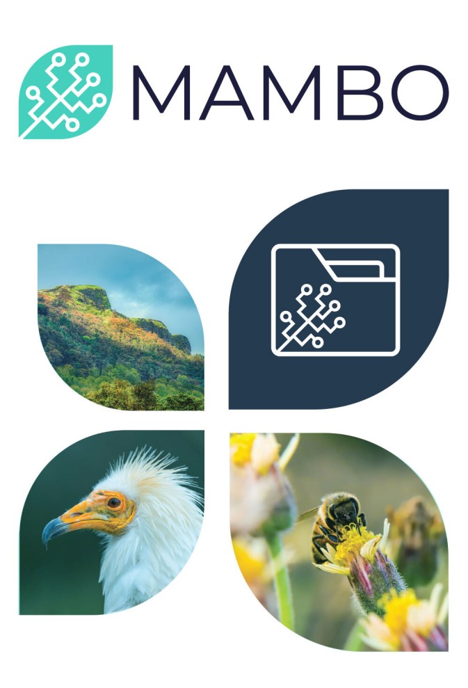 MAMBO launches a project collection in RIO Journal and releases first publication