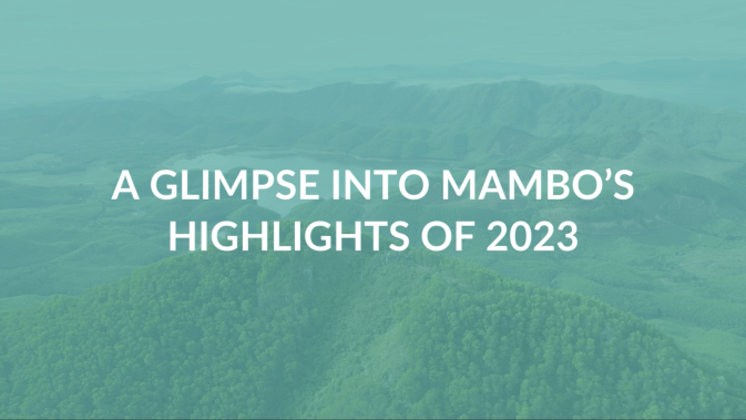 Take a glimpse into MAMBO's Highlights of 2023 with our new video