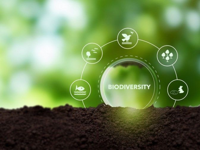 The EC launches a call related to Europe’s first Biodiversity Observation Coordination Centre