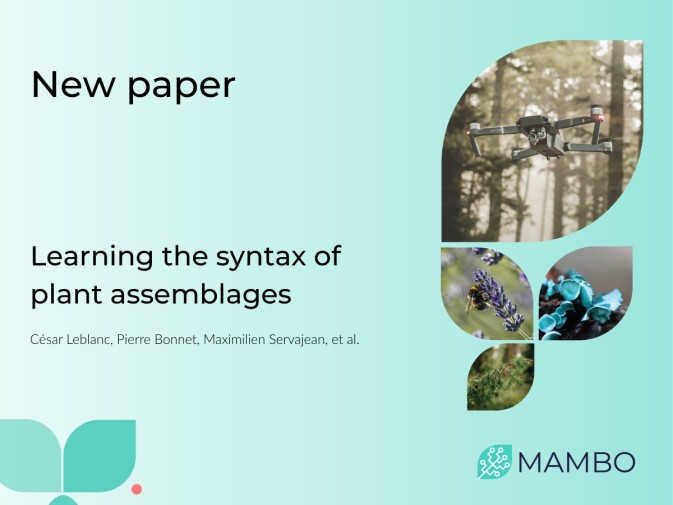 AI model learns the “syntax” of nature to decode plant communities