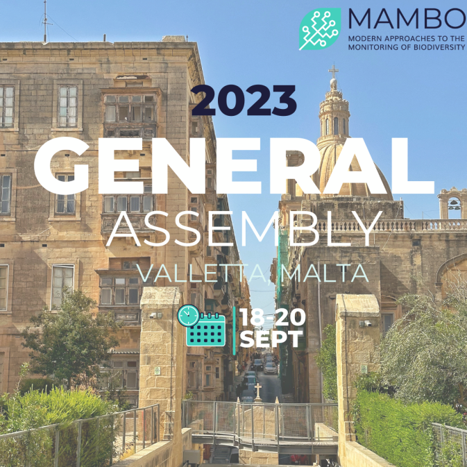 MAMBO partners meet in Malta for the Second Annual Consortium Meeting - 18-20 September, 2023