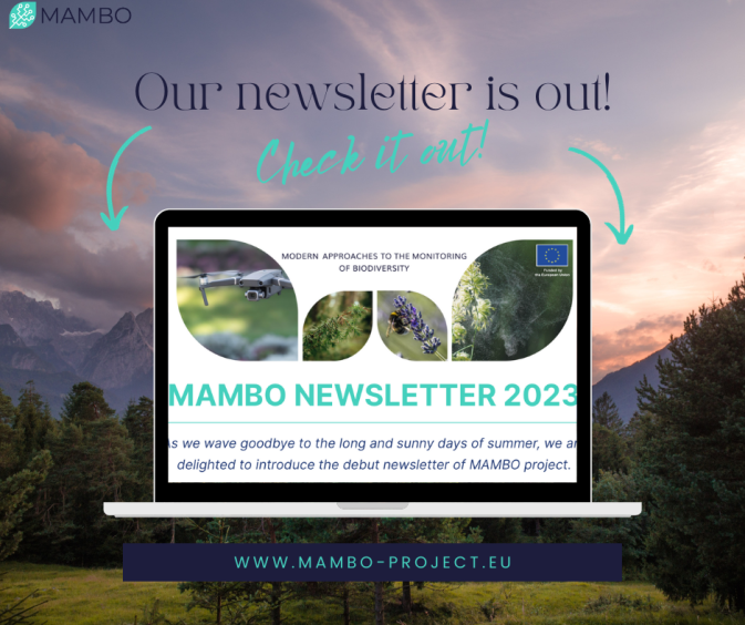 MAMBO's first project newsletter