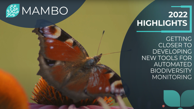 MAMBO 2022 Highlights