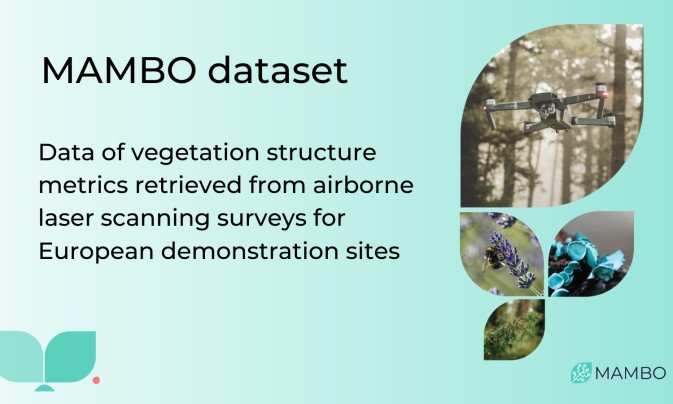 MAMBO partners release new dataset on vegetation structure from laser scanning