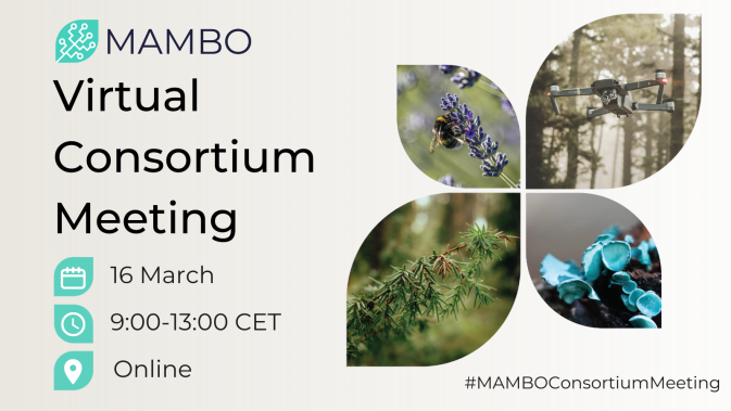 MAMBO partners gather online for a second consortium meeting
