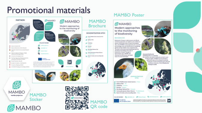 MAMBO's new promotional materials are here!