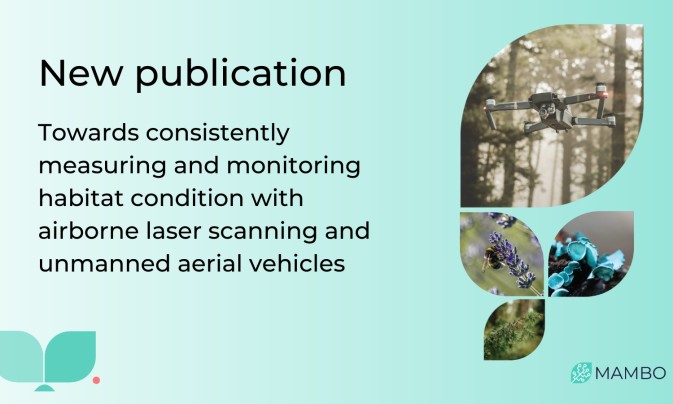 MAMBO partners propose new approach to monitoring habitat condition