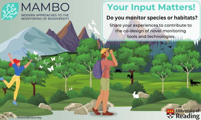 MAMBO launches a survey on biodiversity and habitat monitoring needs
