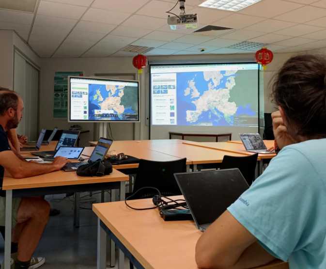 MAMBO and GUARDEN co-organise training sessions on GeoPl@ntNet and Pl@ntNet Plot