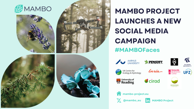 MAMBO's first social media campaign: Meet the faces behind the project