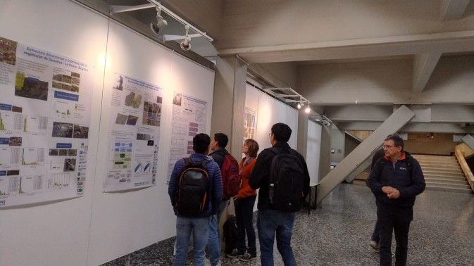 MAMBO presents drone and allometry workflow in Colombia