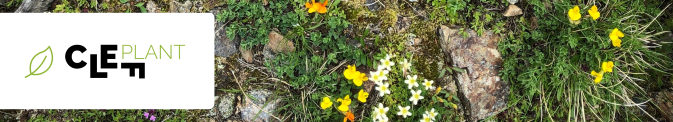 MAMBO and GUARDEN co-fund the PlantCLEF 2025 challenge for AI-Driven plant community identification