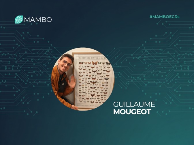 Behind the research: Guillaume Mougeot
