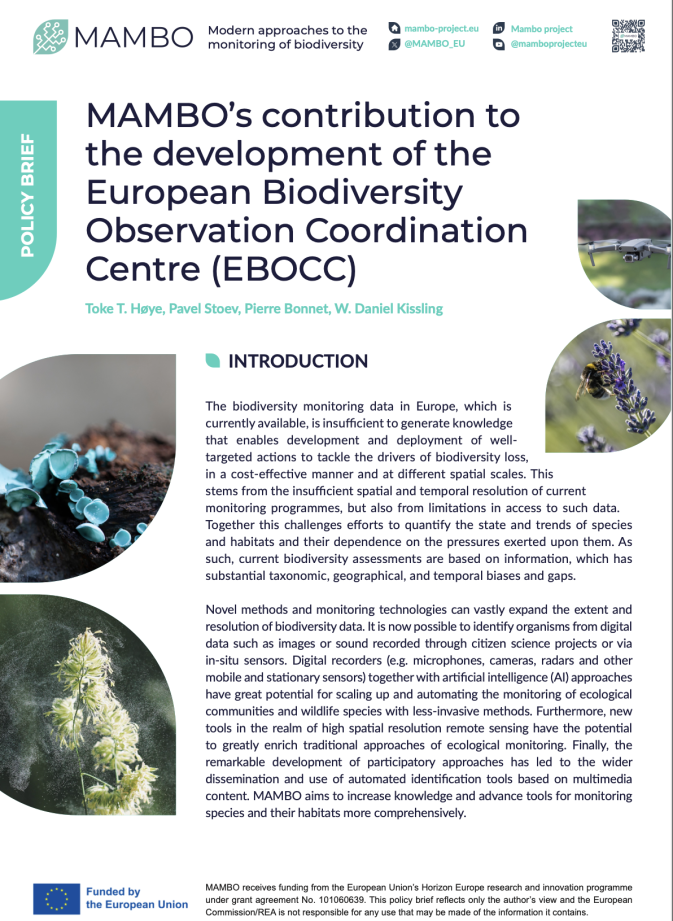 Taking steps for improving the biodiversity monitoring methods in support of the EU Biodiversity Strategy for 2030