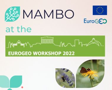 MAMBO presents at EuroGEO 2022 workshop in Athens