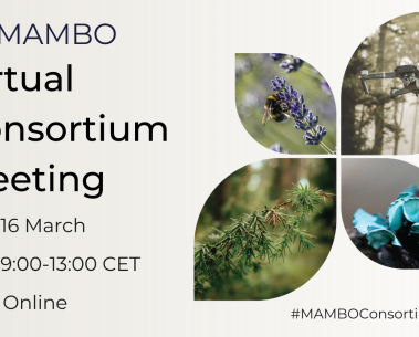 MAMBO partners gather online for a second consortium meeting