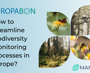 How to streamline biodiversity monitoring processes in Europe?