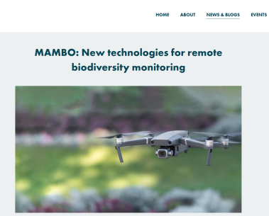 MAMBO is covered on sister project Nature FIRST's website