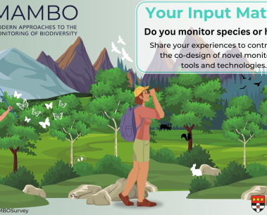 MAMBO launches a survey on biodiversity and habitat monitoring needs