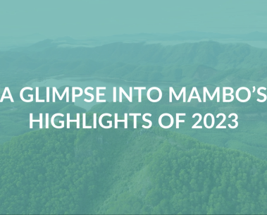 Take a glimpse into MAMBO's Highlights of 2023 with our new video