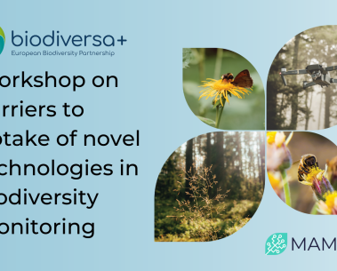 MAMBO's project coordinator takes part in a Biodiversa+ workshop on discussing key issues in biodiversity monitoring