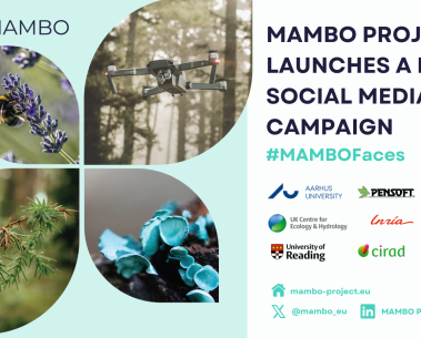 MAMBO's first social media campaign: Meet the faces behind the project