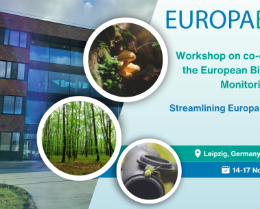 EuropaBON held a final workshop on co-design for the European Biodiversity Monitoring Coordination Centre