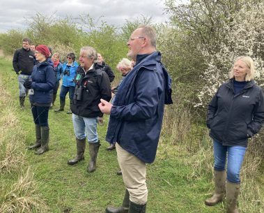 Partners from UKCEH make a visit to Strawberry Hill, one of MAMBO's demonstration sites, to present a new research