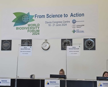 MAMBO attends the 3rd World Biodiversity Forum and promotes the project's first policy brief