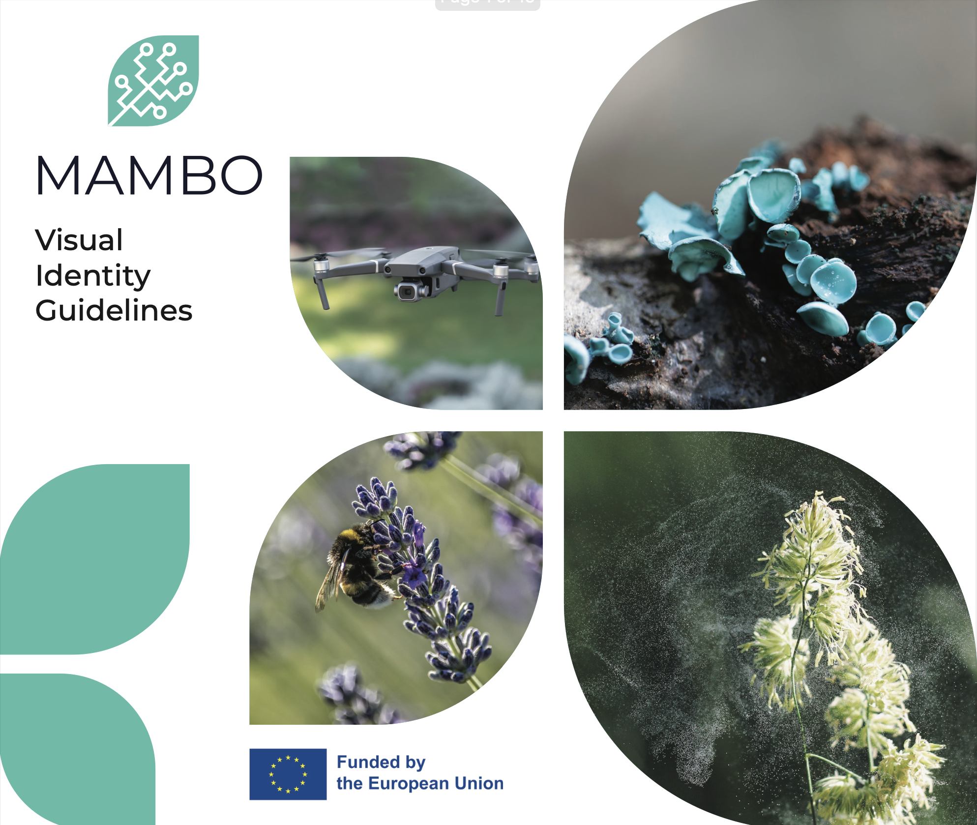 MAMBO Brand Manual