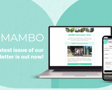 MAMBO Annual Newsletter is in your boxes now!