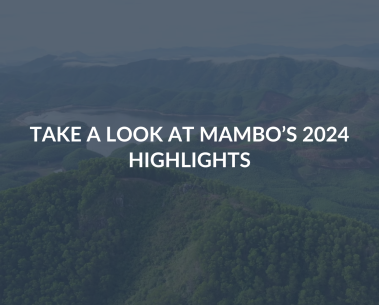 Recap of MAMBO's 2024