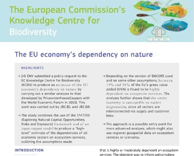 The EU Economy’s Dependency on Nature: New Science for Policy Brief