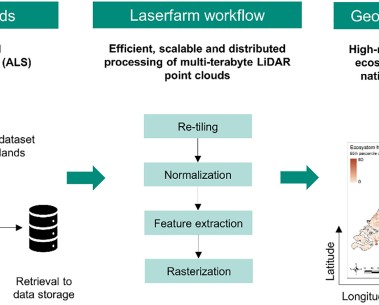 New MAMBO data paper published on vegetation structure metrics from airborne laser scanning