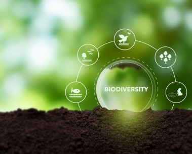 The EC launches a call related to Europe’s first Biodiversity Observation Coordination Centre