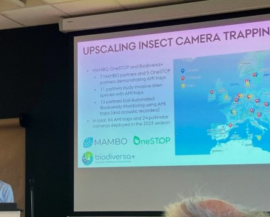 Presentation on the use of automated insects camera traps at the Future for Butterflies & Moths symposium