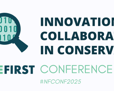 Nature FIRST announce their Final Conference to take place this June