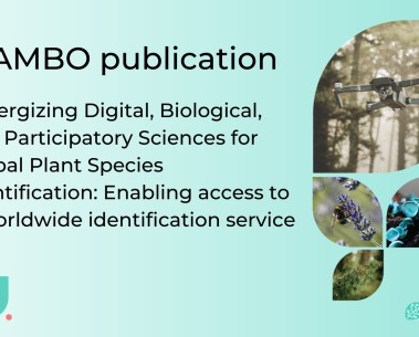 MAMBO partners co-author a study on citizen science in global plant species identification