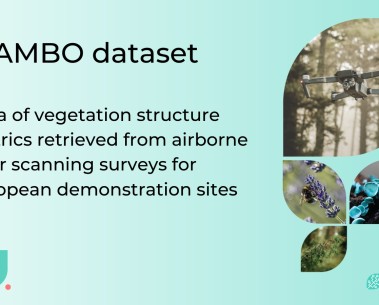 MAMBO partners release new dataset on vegetation structure from laser scanning